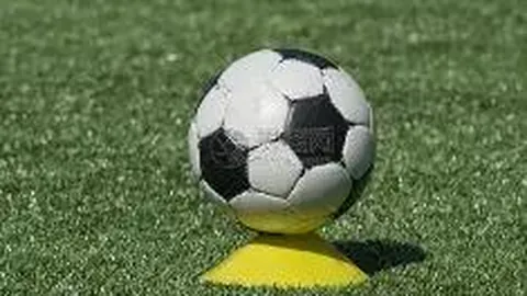 巴西1-0秘鲁晋级美洲杯半决赛 内马尔助帕奎塔一击制胜